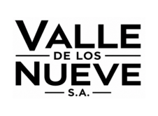 Valle de los Nueve S.A